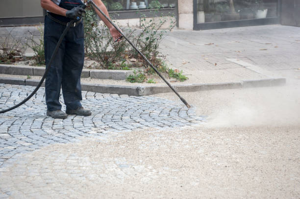Best Pre-Holiday Cleaning  in Fulton, KY